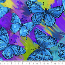 Rainforest 9106-6255 Butterfly Magic 